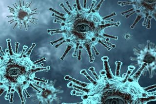 Ten good news about the coronavirus