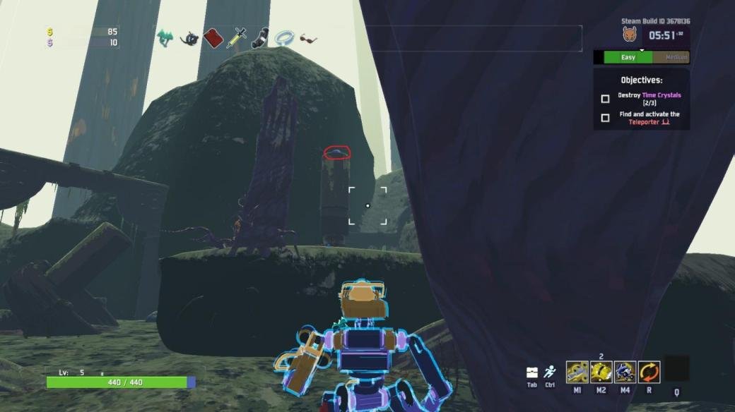 Wetland Aspect Rehabilitation Zone 1