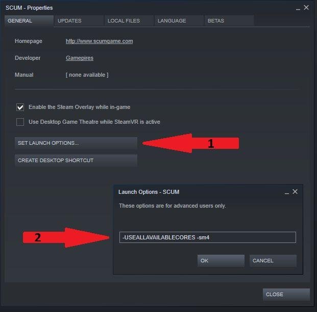 SCUM Setting Game Launch Options
