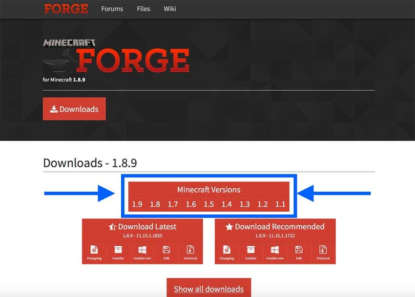 minecraft FORGE