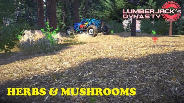 Lumberjack’s Dynasty: Herbs and Mushrooms Spawn Locations