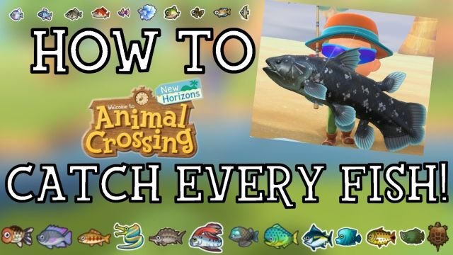 Animal Crossing New Horizons 6 Tips to Catch Fish