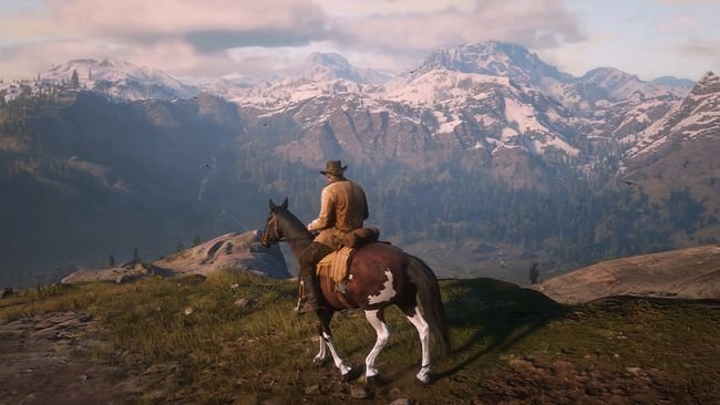 Red Dead Redemption 2 Guide