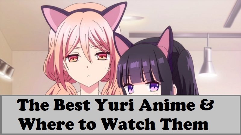 Top 10 Yuri Anime & Where To Watch Them