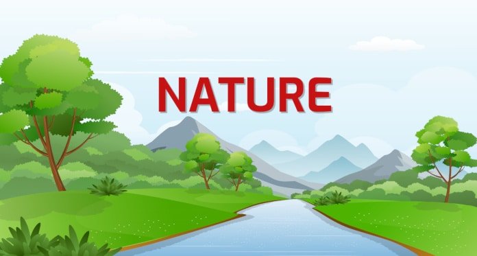 The Ultimate Games for Nature Lovers