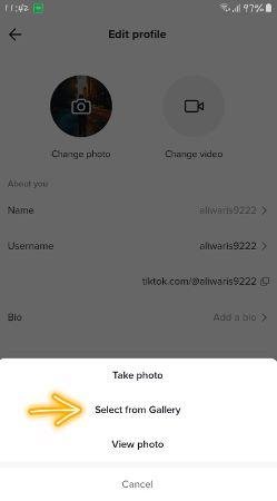 no profile picture tiktok