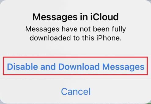 iphone blocked message
