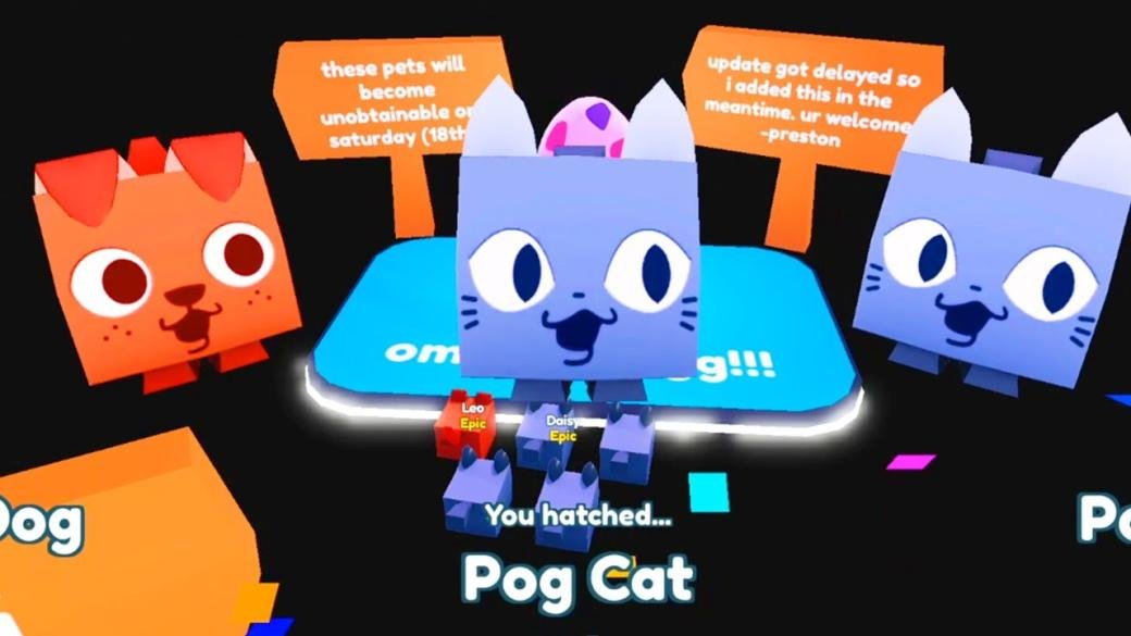 How To Get Pog Cat in Roblox Pet Simulator X - YouTube