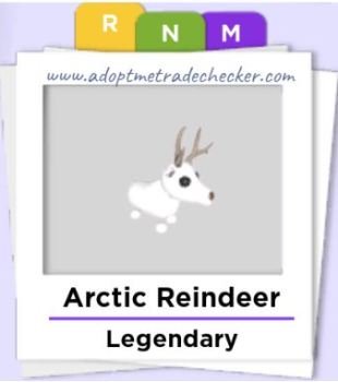 Arctic Reindeer In Journal