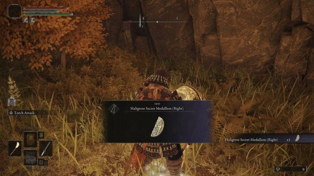 Haligtree Medallion and How to Get its Two-Halves?