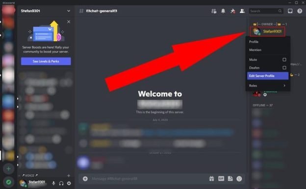 How to Set your Name on Discord?