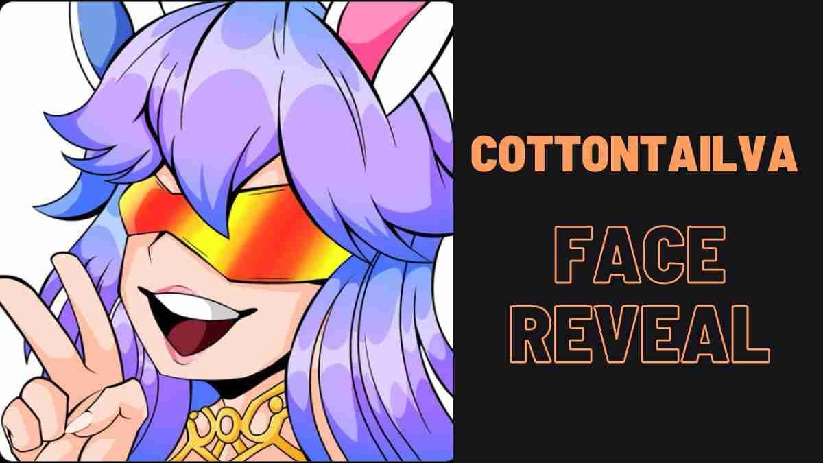 cottontailva