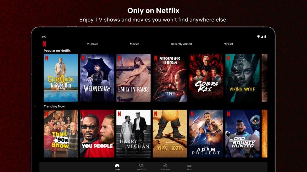 Netflix - Microsoft Apps