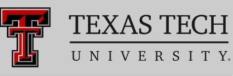 RaiderLink TTU Login Portal - Texas Tech University Portal