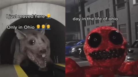 What does the Ohio joke on TikTok mean? All you need to know | PINKVILLA