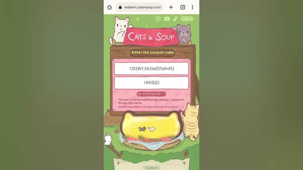 Cats and Soup Codes